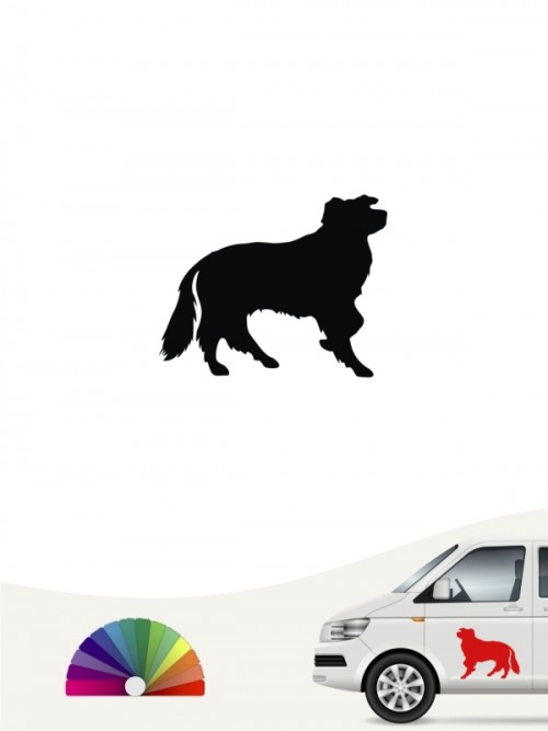 Hunde-Autoaufkleber Border Collie 1a Mini von Anfalas.de