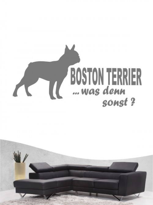 Boston Terrier 7 - Wandtattoo