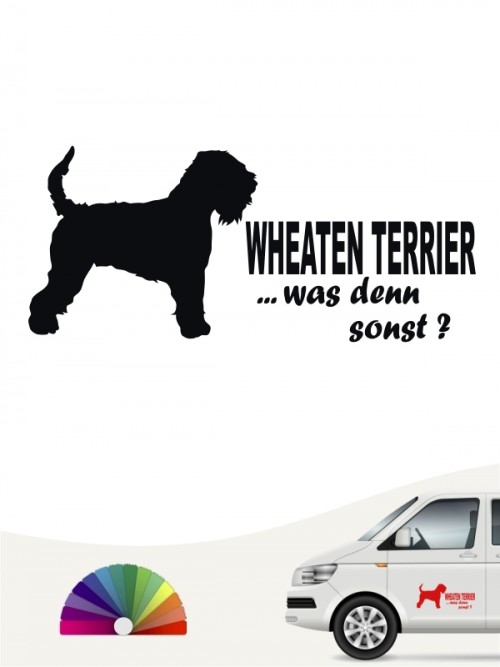 Irish Soft C. W. Terrier was denn sonst Autosticker von anfalas.de