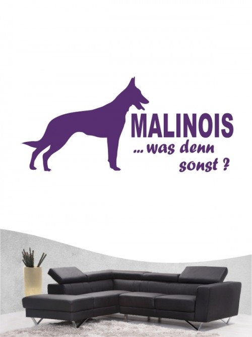 Malinois 7 - Wandtattoo
