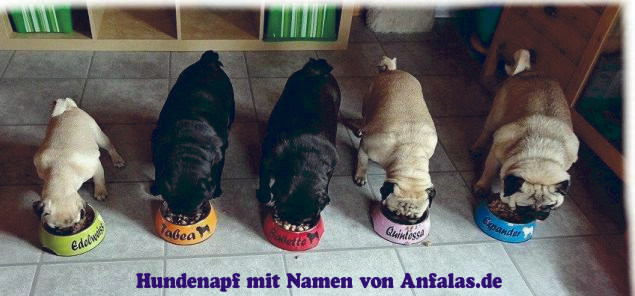 Kundenfotos Hundenapf mit Namen selbst gestalten von Anfalas.de